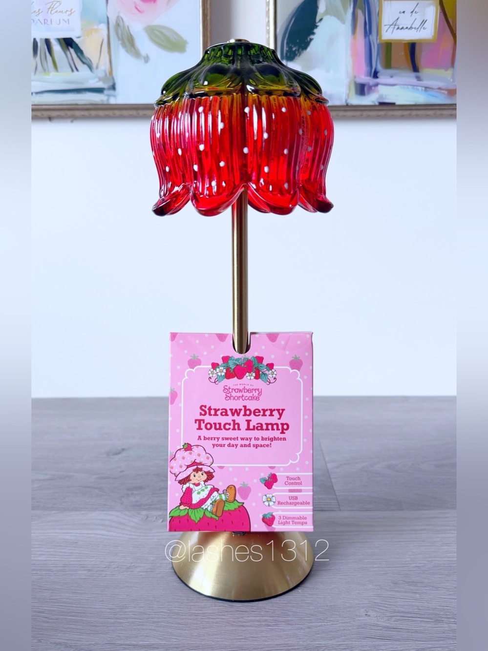 STRAWBERRY SHORTCAKE Touch Lamp Light | USB Rechargeable | Dimmable LED
